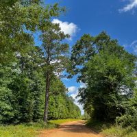 43 Acres T-7 Kelley Road