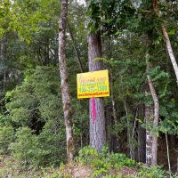 43 Acres T-7 Kelley Road images 2