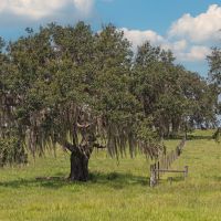 Long River Ranch images 3