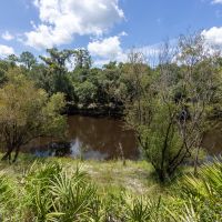 Long River Ranch images 4