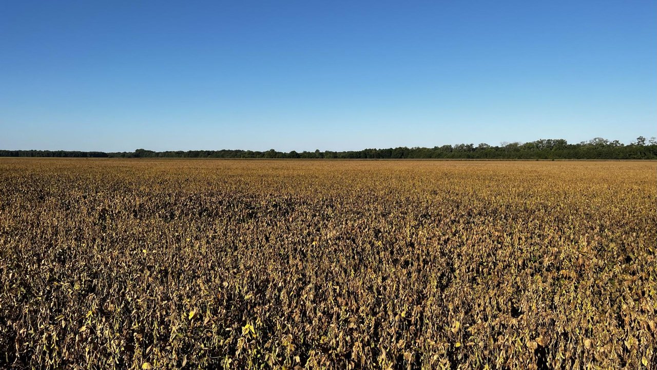 464 acre Phillips County Farm Hunting Land for Sale HuntingLocator