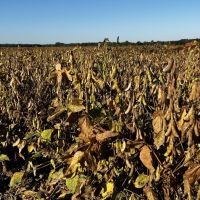 464 acre Phillips County Farm images 3