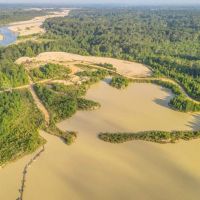 114 Acres Land For Sale on Amite River near Baton Rouge LA images 3