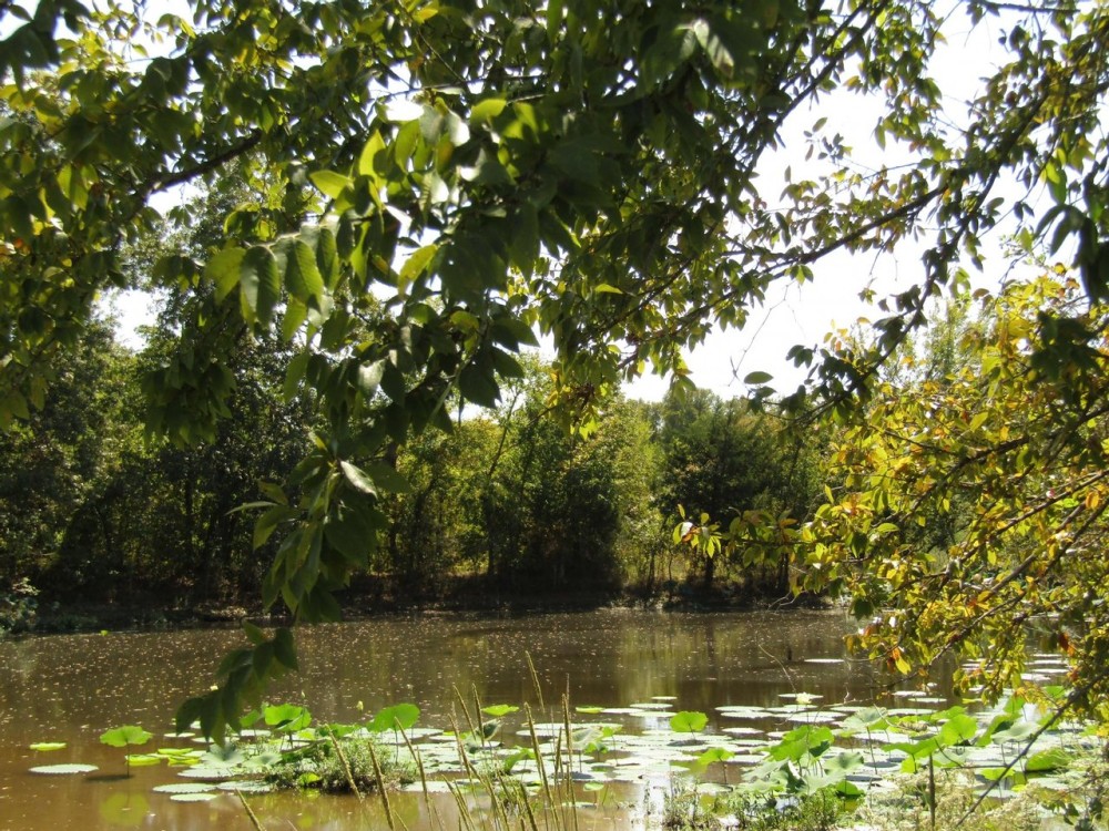 Prime Building Rolling Hill Tracts Choctaw County OK Tract 16 featured image