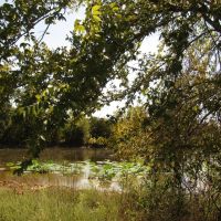 Prime Building Rolling Hill Tracts Choctaw County OK Tract 16 images 2