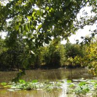 Prime Building Rolling Hill Tracts Choctaw County OK Tract 16 images 3