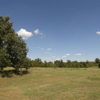 Prime Building Rolling Hill Tracts Choctaw County OK Tract 16 images 4