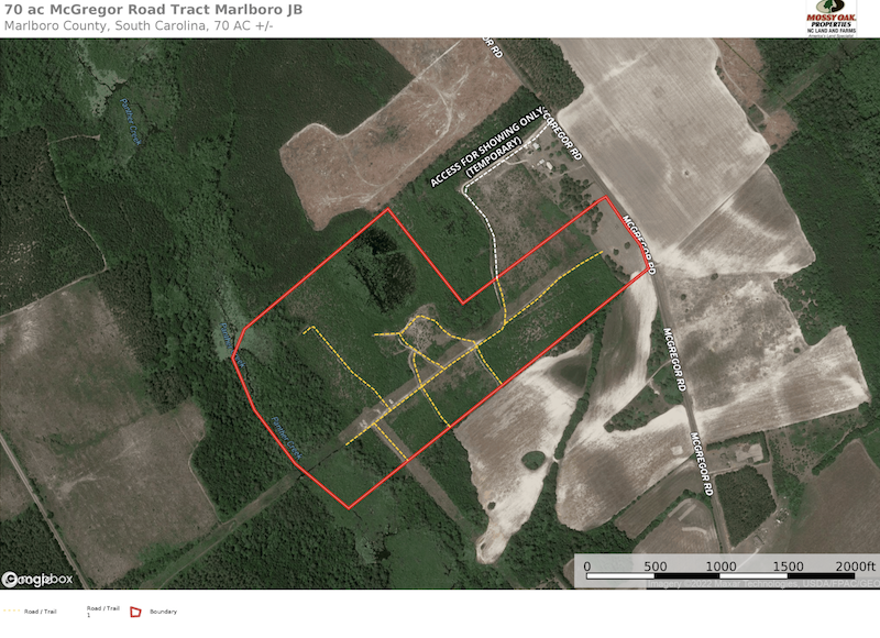 REDUCED 75 acres of Hunting Recreational Property For Sale in Marlboro County SC featured image