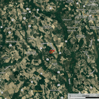 REDUCED 75 acres of Hunting Recreational Property For Sale in Marlboro County SC images 2