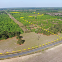 REDUCED 75 acres of Hunting Recreational Property For Sale in Marlboro County SC images 3