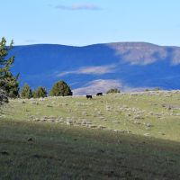 John Day Breaks Pasture images 1