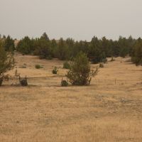 John Day Breaks Pasture images 4