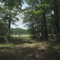 Walding Rd. 200 images 3