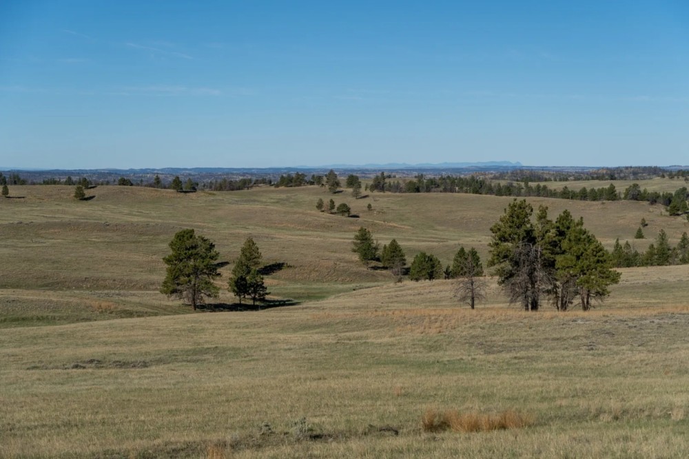 O Connor Ranch featured image