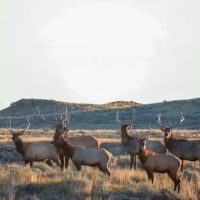 O Connor Ranch images 5