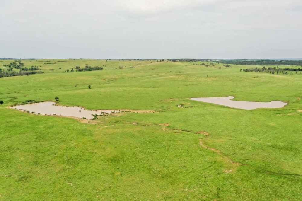 Five Star Legacy Ranch featured image