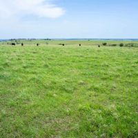 Five Star Legacy Ranch images 3