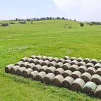 Five Star Legacy Ranch images 5