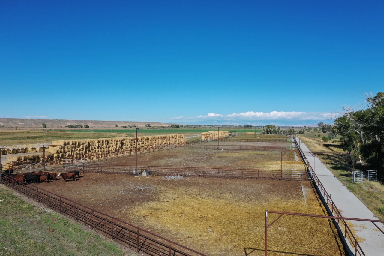 Greybull River Ranch Hunting Land for Sale