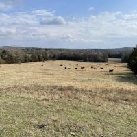 32 - Acres Highway 167 Frontage Great Building Site Cave City AR images 3