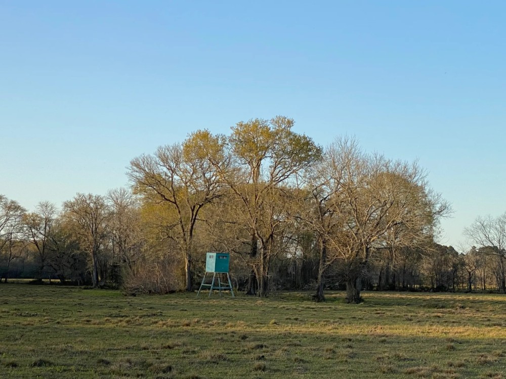 Watson Ranch 275 featured image