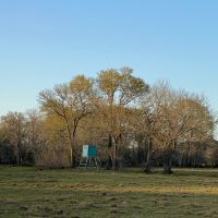 Watson Ranch 275