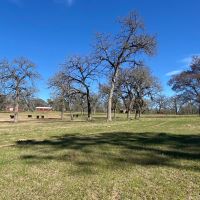 Watson Ranch 275 images 3
