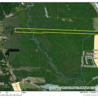 208 Acres East of FM 1008 Tract 311084-85