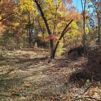 Boone County 160 images 4