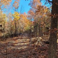 Boone County 160 images 5