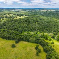 Private Hunting Preserve on 82 - Acres