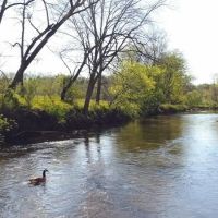 62 Acres of Prime Riverfront Farmland For Sale in Floyd Virgina