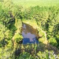 3 Bed 2.5 Bath Lodge for Sale on Creek in Amite County MS images 2