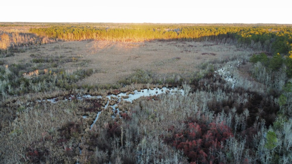 Beaver Dam Creek Tract featured image