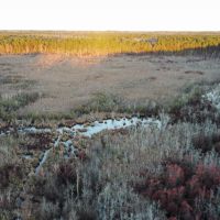 Beaver Dam Creek Tract