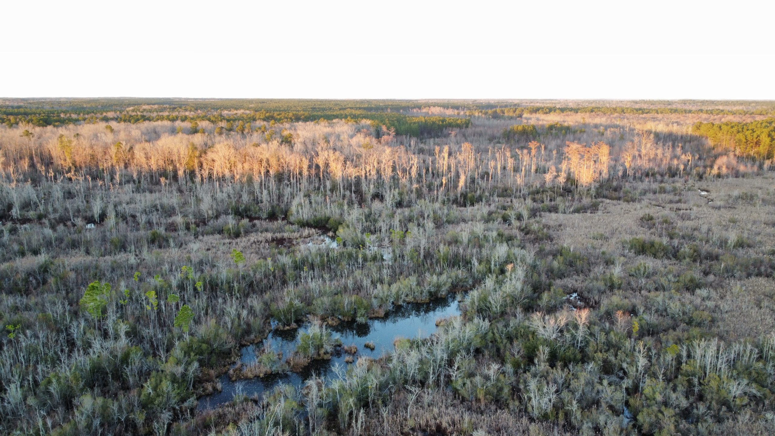 Beaver Dam Creek Tract - Hunting Land for Sale - HuntingLocator.com ...