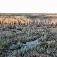 Beaver Dam Creek Tract images 2