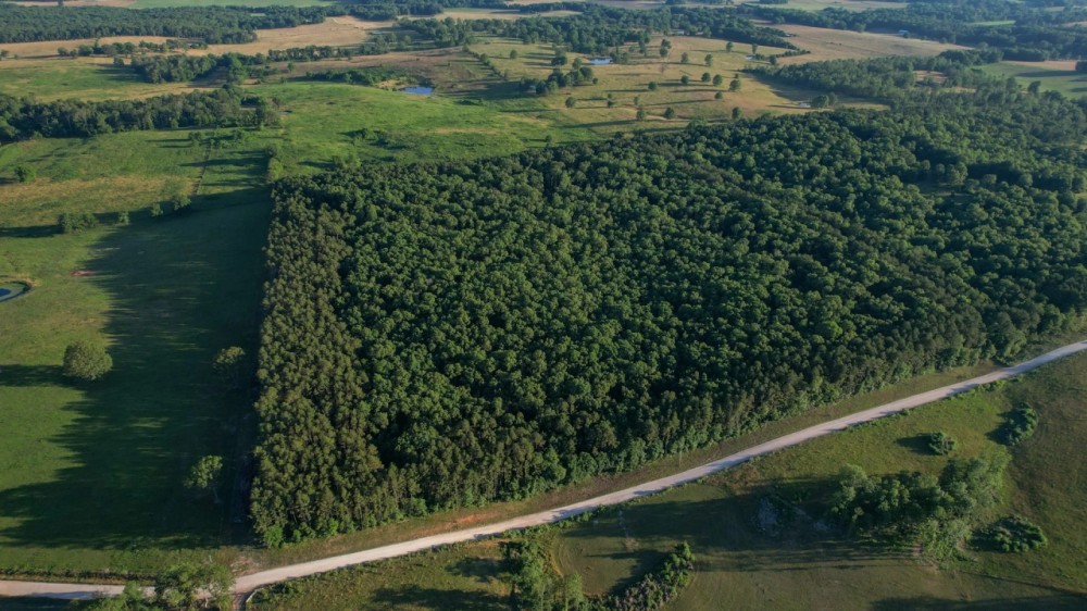 Hutton Valley Timber Tract featured image