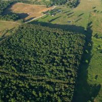 Hutton Valley Timber Tract images 3
