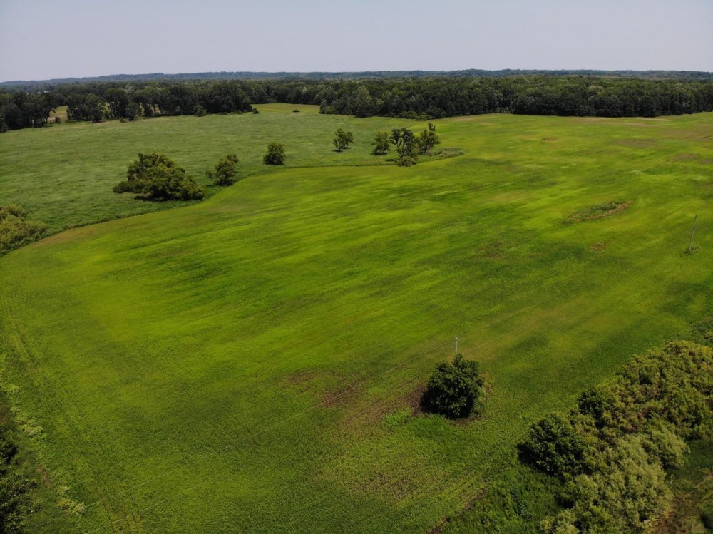 66 - Acres Hunting Land with Tillable for sale M43 Hwy Bangor MI. featured image