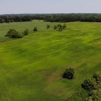 66 - Acres Hunting Land with Tillable for sale M43 Hwy Bangor MI.