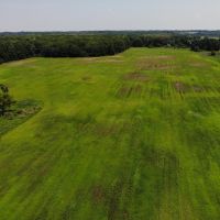 66 - Acres Hunting Land with Tillable for sale M43 Hwy Bangor MI. images 2