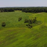 66 - Acres Hunting Land with Tillable for sale M43 Hwy Bangor MI. images 3