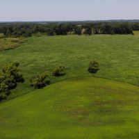 66 - Acres Hunting Land with Tillable for sale M43 Hwy Bangor MI. images 4