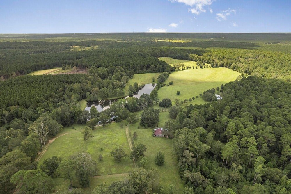 200 Acre Secluded Country Estate for Sale Hattiesburg MS featured image