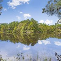 200 Acre Secluded Country Estate for Sale Hattiesburg MS images 2