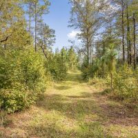 200 Acre Secluded Country Estate for Sale Hattiesburg MS images 4