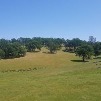 24142 Perimeter Road Grass Valley