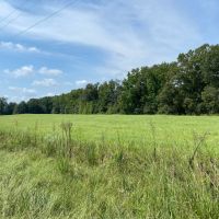 LA - Franklin 36.80 acres - images 2