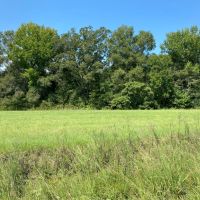 LA - Franklin 36.80 acres - images 3
